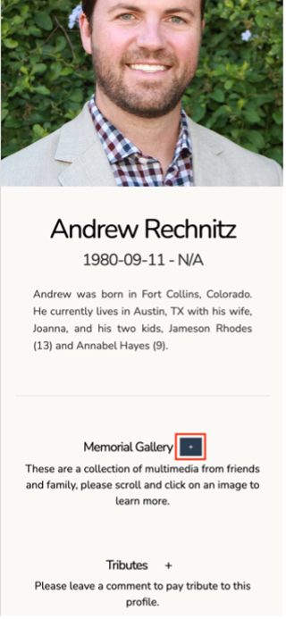 Profile view